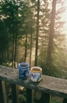 Two mugs of coffee on a wooden railing in misty woodland
